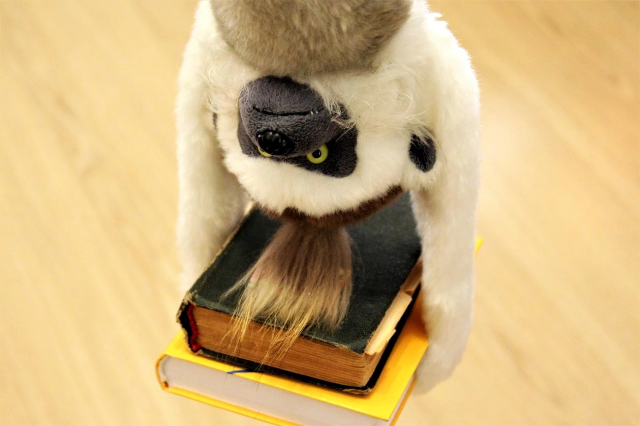 Motivationskarte: Kuscheltier-Affe mit Büchern, kopfüber