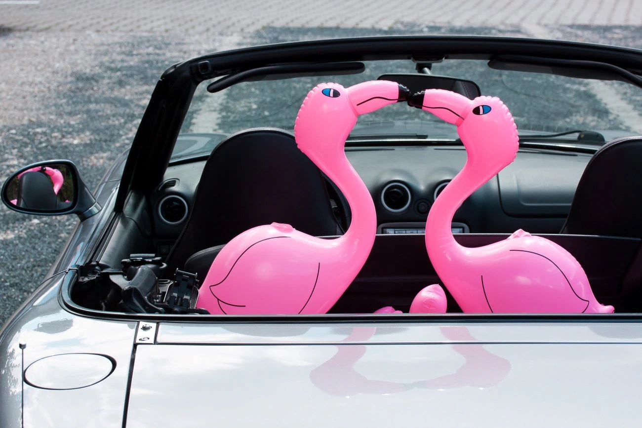 Motivationskarte: Aufblas-Flamingos im Cabrio