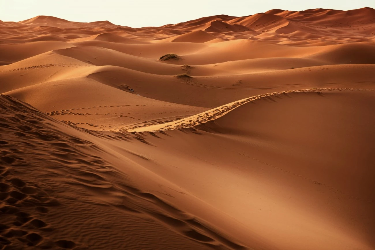 Coachingkarte: Wüste, Spuren im Sand