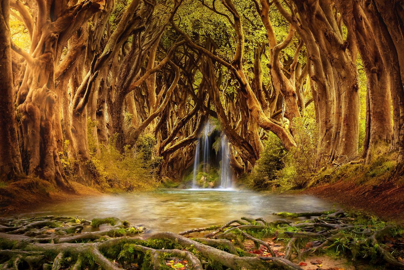 Märchenkarte: Dichter Wald, Teich, Wasserfall