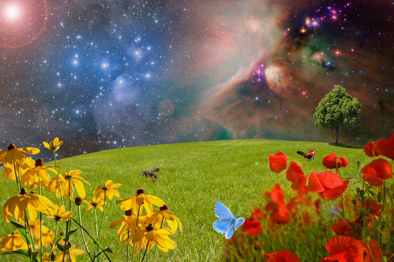 Fantasiekarte: Grüne Wiese, Blumen, Insekten, Sterne